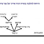 attitude-halakha-heb-lecture-04